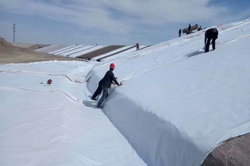 Composite Drainage Geomembrane for Drainage Engineering Length 50m/roll as Request