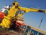 Top Lift Weight 1 ton to 10ton Telescopic boom crane or Knuckle Telescopic