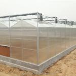 Tomato Grow Agriculture Greenhouses Manufacturers in Venlo Style with PC Sheet
