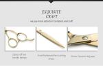 Stainless Steel Pet Grooming Scissors , Stable Dog Grooming Thinning Shears