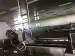 Automatic Seafood Fish High Pressure Bubble Washing Machine Shrimp Cleaning