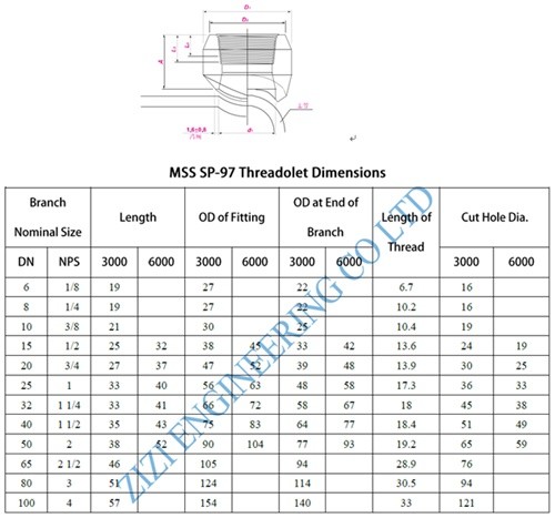 316 SS Threaded Outlet Fitting , NPT DN80 X DN40 6000 LB Branch Connection Fittings