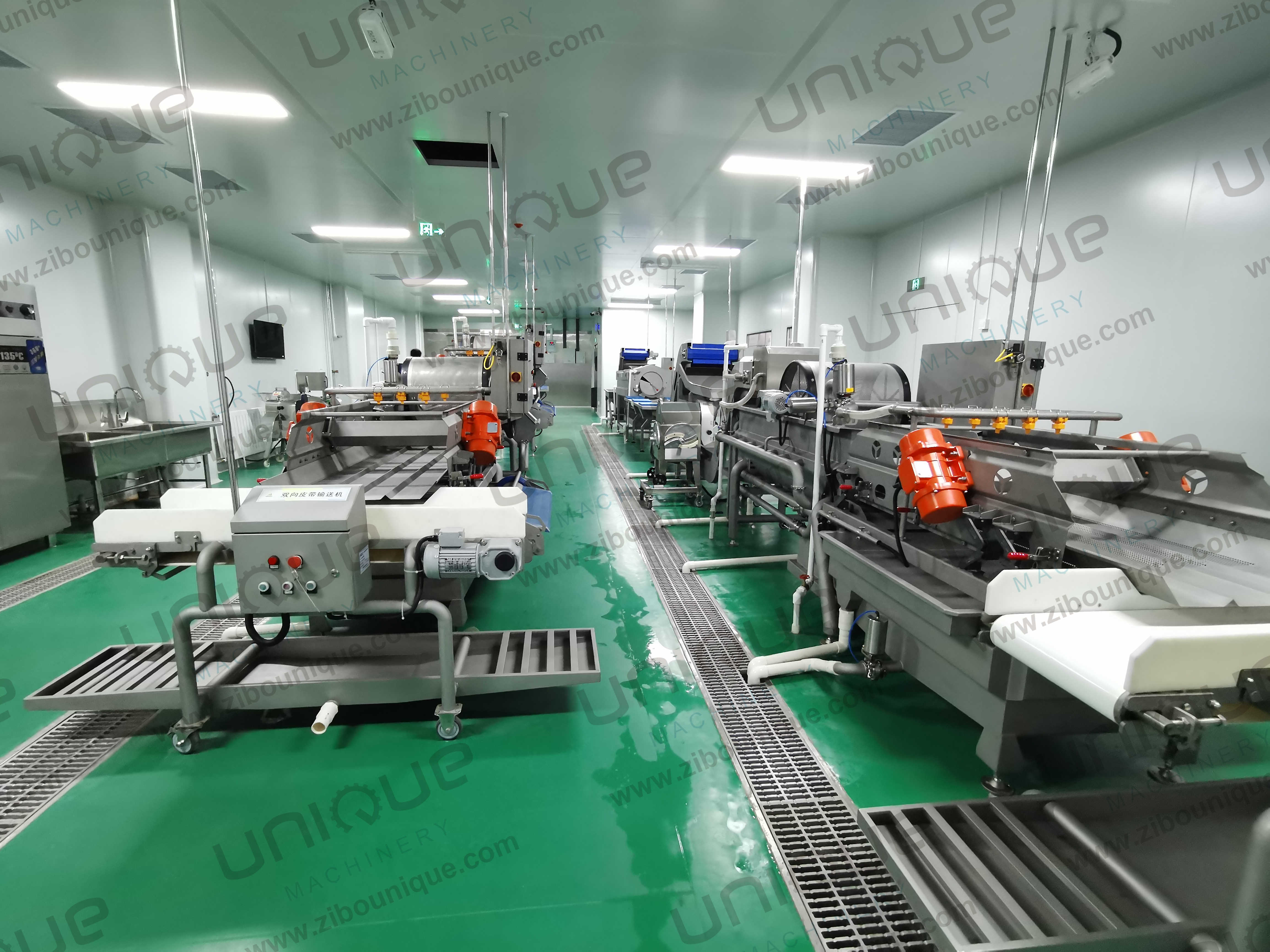 Grapefruit Watermelon Pineapple Peeling Machine for Stainless Steel 304 Applications