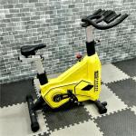 Commercial Cardio Training Machine 13kg Flywheel Indoor Bike Spinning