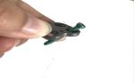 Veterinary Orthopedic Pure Titanium Locking Compressed Bothway Veterinary