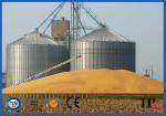 500/1000/10000 Ton Vertical Grain Silo Machine Hot Dip Galvanizing Coating For