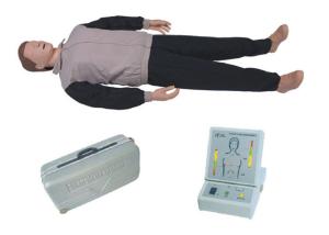 Wholesale Medical Comprehensive First Aid CPR Manikins With Full Body Adult Chidren from china suppliers