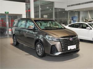 Wholesale Buick Minivan MPV 7 Seater For Business Reception Family Travel from china suppliers