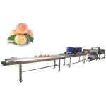 Hot selling Uv Ozone Fruit Vegetable Cleaner And Washer On Sale by Huafood