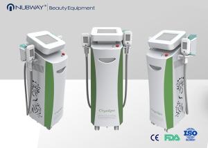 Wholesale 2 handles Body Cryotherapy Fat Freezing Slimming Machine from china suppliers