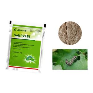 Wholesale Powder Spray Organic Pest Killer 10000 PIB/Mg SeNPV SeNPV Virus Extract from china suppliers