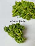 Fried Dried Fruits Vegetables Broccoli Dehydrated Vegetables