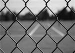 6 Foot Galvanized 11.5 Gauge Coated Chain Link Fence