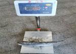 900g 1000g Mugil Cephalus Cephalus Gutted Frozen Grey Mullet