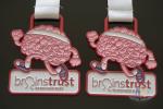 Die Cast Brain Trust Custom Metal Medallions Spray Light Red Color