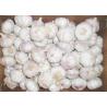 Buy cheap Fresh Spicy Normal White Reducing Bacteria Garlic from wholesalers