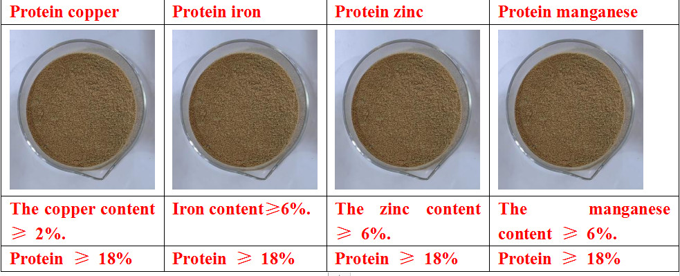 Manganese Proteinate Amino Acid Chelate Powder For Feed Additive Yellowish Powder Good Smell