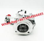 Diesel Engine Parts Fuel Pump KTA19-DM PT 4999456