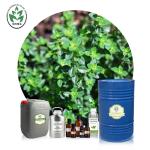Antioxidant 100% Pure Organic Thyme Essential Oil Cas 8007-46-3