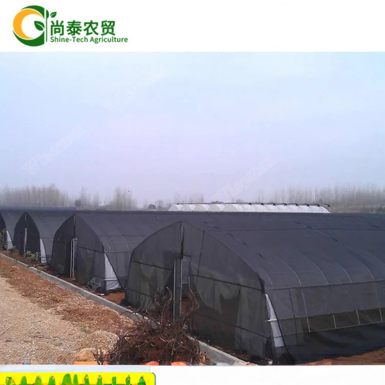 2.5-5M Height Tomato Hydroponic High Tunnel Agriculture Greenhouse with Film Cover