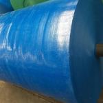 Stain Resistant and Waterproof Blue PE Tarpaulin Cover Sheet for Outdoor