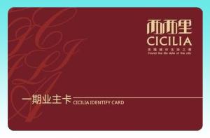 Wholesale Mini MF1 IC S20 chip Card from china suppliers