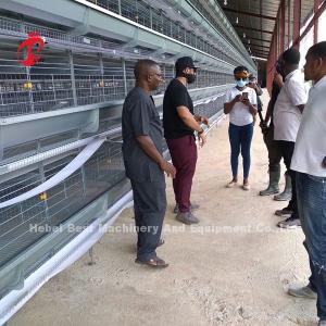Wholesale H Type Layer Battery Cage System 4 Rows Layer Poultry Farm Equipment CE Approval Sandy from china suppliers