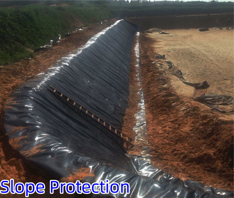 Length 50-200m Geomembrane for Fish Ponds Smooth and Durable 1mm 2mm Thickness