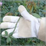 Thornproof Leather Gauntlet Gardening Gloves