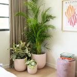 Fiberglass Flower Pots Light Weight GRP Planter Box For Outdoor Indoor Decor
