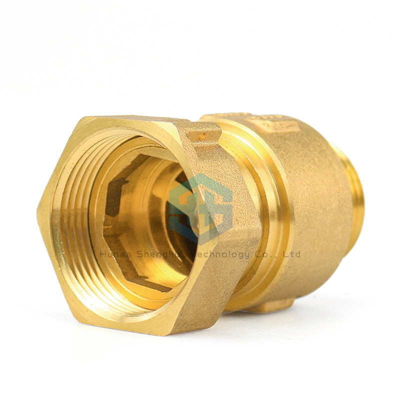2 Inch Brass Spring Check Valve Female Thread for Engineering