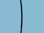 GIF-XQ260 high definition Flexible Gastroscope In Good Condition