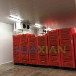 0 Celsius D Commercial China Fruit and Vegetable Cold Room and Freezer