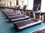Commercial Treadmill