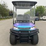 Golf Cart 4 Passenger Color Changing Paint Lithium Battery Max Speed 40km/h Off