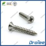 Stainless Steel 304/316 Pozi Drive Flat Head Self-tapping Sheet Metal Screw