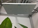 ETL 120W High PPFD Grow Light For Commercial Cultivation