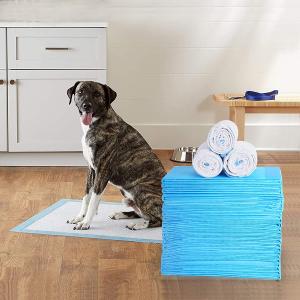 Wholesale Pet Dog Diapers Super Absorbent Cat Training Urine Pee Pads Healthy Clean Wet Mat Disposable Dog Diaper Training Pad from china suppliers