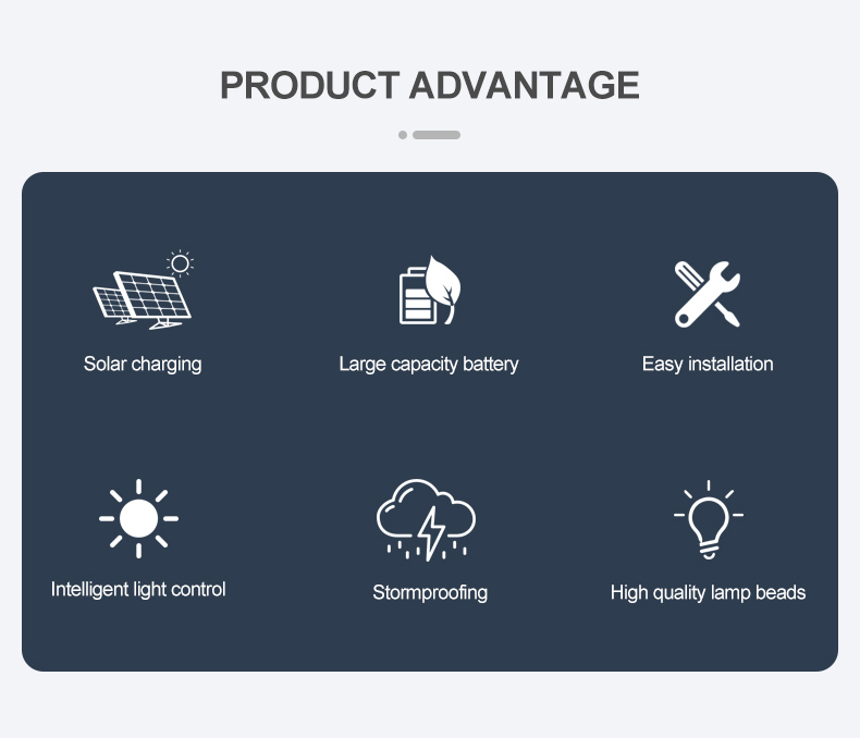 100lm Die Cast Aluminum Outdoor Garden Solar Light IP65 Waterproof