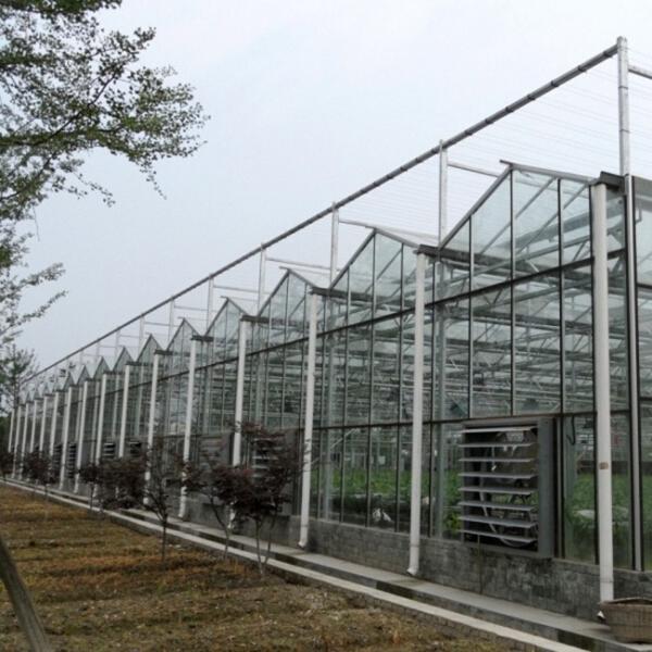 10 X 6 10 X 12 10 X 10 10 X 8 Commercial Glass Greenhouse Galvanized Steel