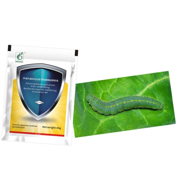 Natural Organic Insect Viral Pesticide PrGV &Bt WP for Vegetable Pieris Rapae Granulosis Virus NPV Biopesticide