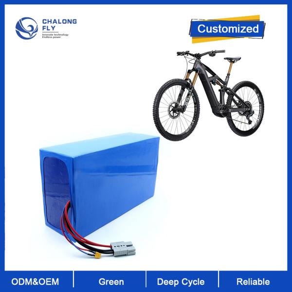 LiFePO4 Battery Packs OEM ODM 12V 24V 36V 60V 30AH 60AH 80AH 120AH For E