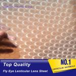 PLASTIC LENTICULAR 3d 360 degrees fly eye film plastic lenticular fly eye lens