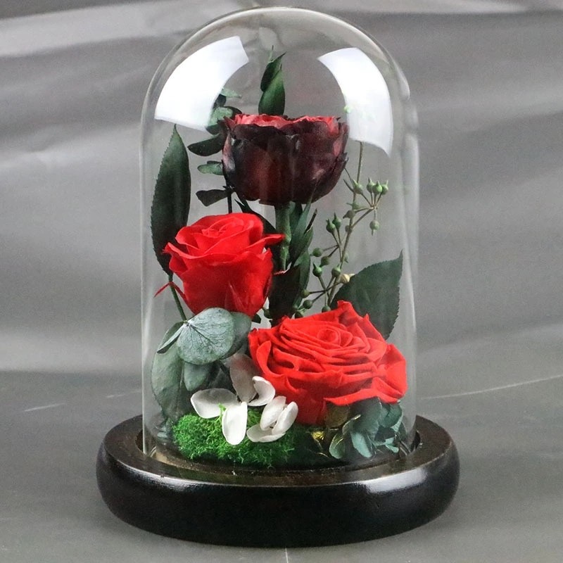 Beautiful Preserved Rose in Glass Dome enchanted roses arrangement for lover