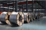 IEC Standards best quality competitive price 150/25 ACSR Conductor for overhead