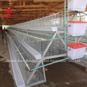 Wholesale 96 Birds And 120 Birds Chicken Battery Cage For Sale Star from china suppliers