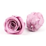 Colorful Allergy Friendly A Grade 5-6cm Preserved Rose Heads