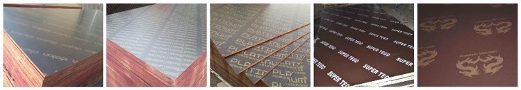 Russia anti-slip film faced plywood, Unsmooth film faced plywood, Truck floor plywood
