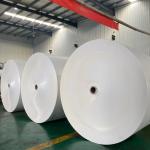 Production supply 85-120gsm brown white PE Coated Paper Roll With Folding