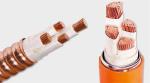 0.6/1kv Bttw/Yttw, Fire Resistant Cable Multi Cores Inorganic Mineral Insulated